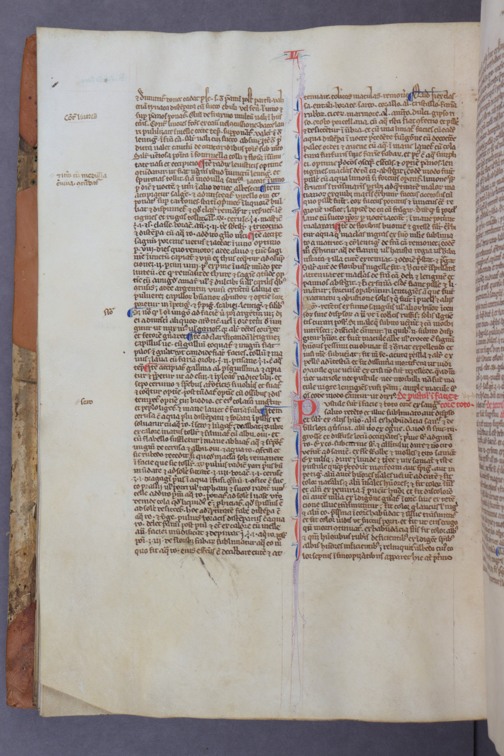Folio 78 verso